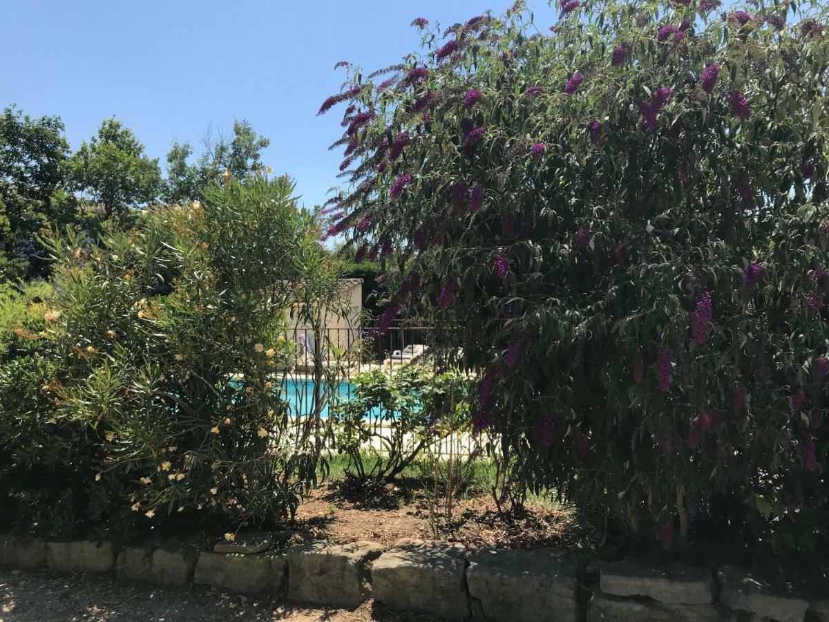 Les Buis Apartment Carpentras ภายนอก รูปภาพ